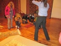 Turkish Rug Presentation